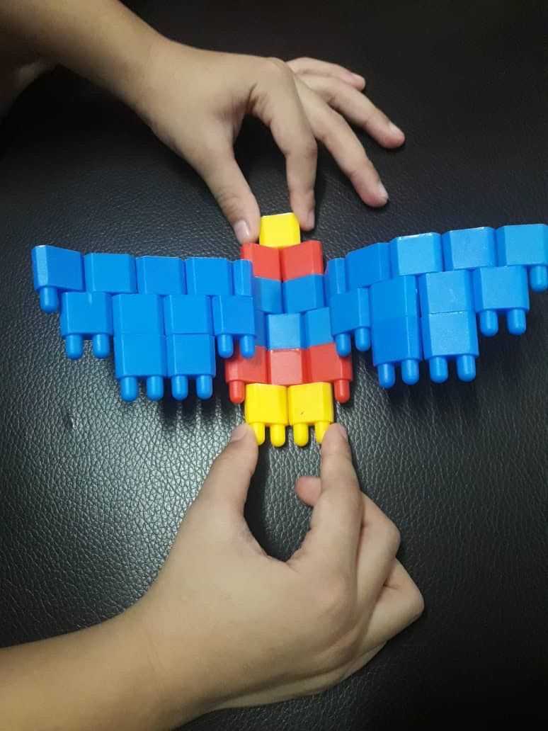 MCO burung